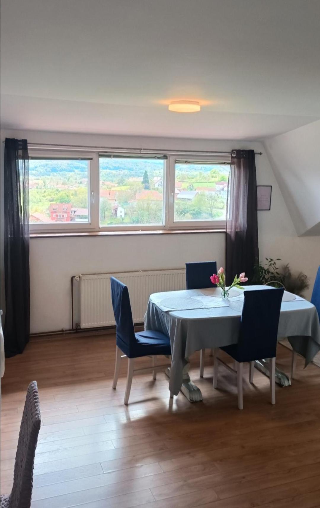 Apartman Petra Zabok Bagian luar foto