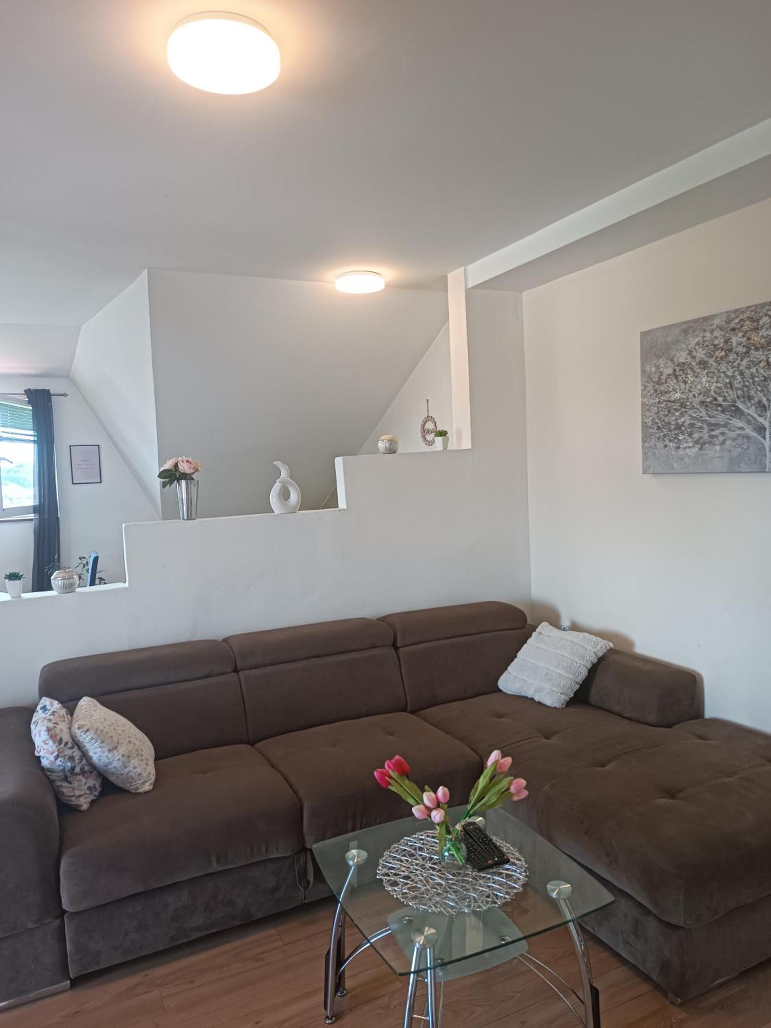 Apartman Petra Zabok Bagian luar foto