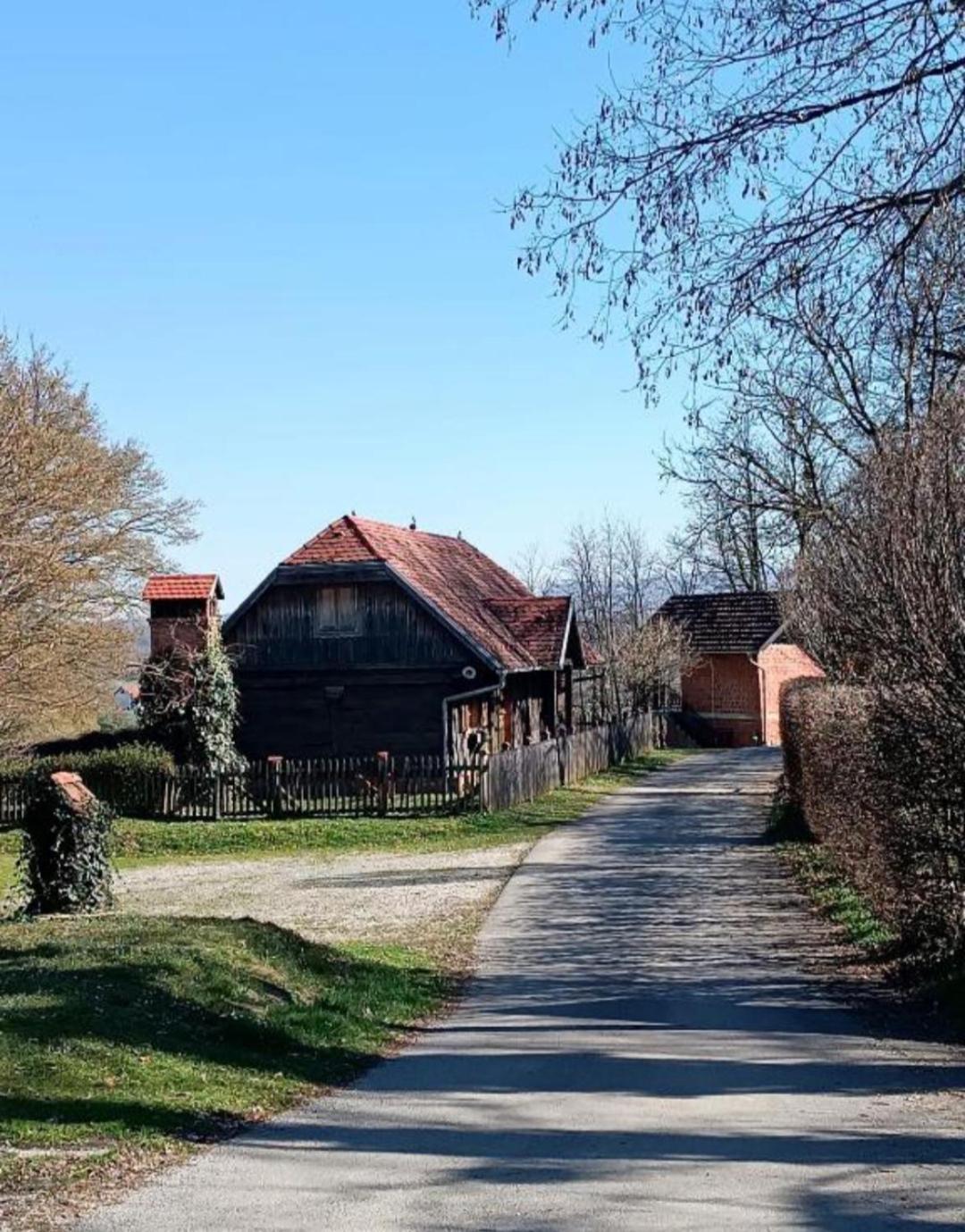 Apartman Petra Zabok Bagian luar foto